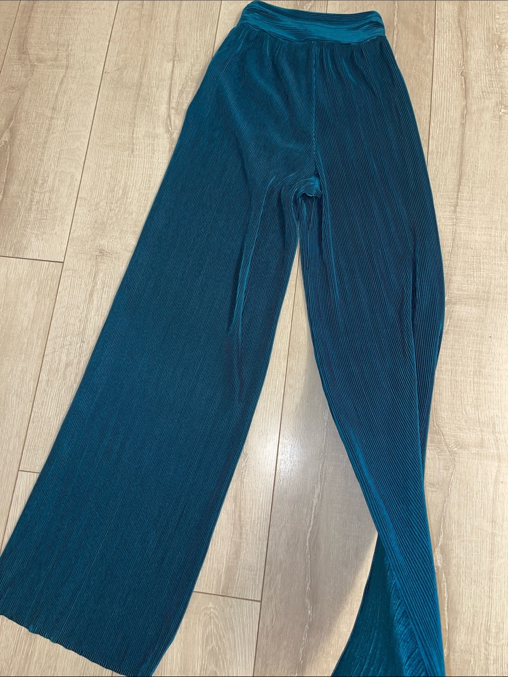 🪞Wide Leg Plisse Pleated Pants in Teal XS/Never worn!🪞